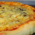 Pizza de Jamón Ibèrico, Rulo de cabra y Cebolla[...]