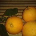 Mermelada de Naranja