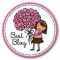 Primer premio, Best Blog. Qué ilusión!!!