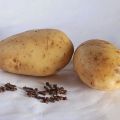 Patatas gratinadas rellenas de setas