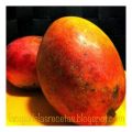 Bizcocho de Mango Confitado, Piña y Especias