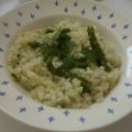 Arroz blanco y verde