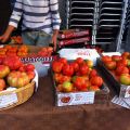 tomates rellenos de gambas y surimi