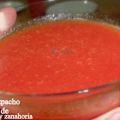 Gazpacho de Sandia y Zanahoria apto para Dukan[...]