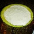 Sorbete de melón  // Melon sorbet with cream