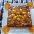 BIZCOCHO CON ALBARICOQUES. (CAKE WITH APRICOTS )