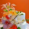 Tarta súper especial