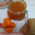 MERMELADA DE NARANJAS CHINAS