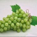 Salsa de uvas