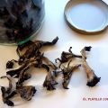 CONSERVACIÓN DE SETAS: DESHIDRATACIÓN,[...]