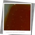 Mermelada de tomate