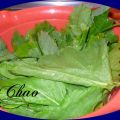 Pechuga pavo