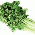 Alimentos con Calorías Negativas