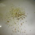 SALSA BECHAMEL