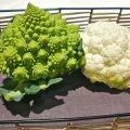 Invasión coliflor