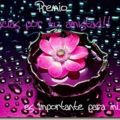 Premio Para Compartir!!!!