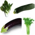 Frutas y verduras de temporada: Mayo