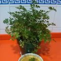 CREMA DE VERDURAS LIGHT