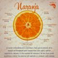 Los aportes beneficiosos de la naranja