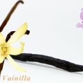 VAINILLA