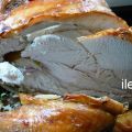 Pavita al horno