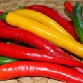 GastroQuímia: Escala Scoville