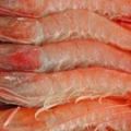 ENSALADILLA DE GAMBAS.