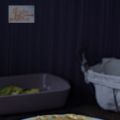 TORTILLA DE PATATA EN 15 MINUTOS CON JAMÓN Y[...]