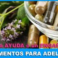 SUPLEMENTOS PARA A DELGAZAR: una AYUDA o un[...]
