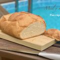 PAN RÁPIDO