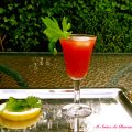 SANGRADA DEL SUR  ( BLOODY MARY )