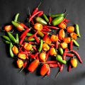 CHILES EN CONSERVA