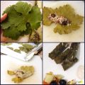 Daring Cooks Oct'10: dolmades - hojas de parra[...]