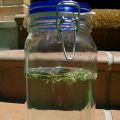 Infusiones solares