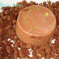 PANNA COTTA DE CHOCOLATE Y CARAMELO