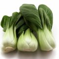 Pak choy con pollo...