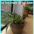 Al rico cupcake de lima limón!!
