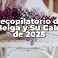 Recopilatorio de 2025 de La Meiga y Su Caldero