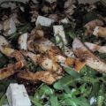 ENSALADA DE RÚCULA CON POLLO Y QUESO FETA.