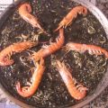 Arroz Negro