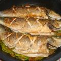 Lubina con verduras
