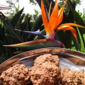 GALLETAS DE AVENA Y CHOCOLATE + PREMIO