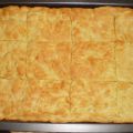 Torta de Aceite