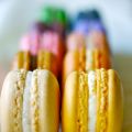 El proyecto Macaron I