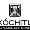 GAMBITAS COCIDAS CON SAL DE CRETA XÓCHITL /[...]