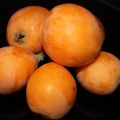 mermelada de nísperos y menta