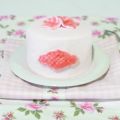 Tarta fondant para diabéticos (Tagatosa)