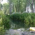 Blogger traveller Agosto........Descanso
