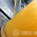 Cítricos Locos!
