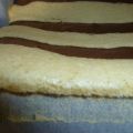 Bizcocho plancha bicolor, receta y paso a paso